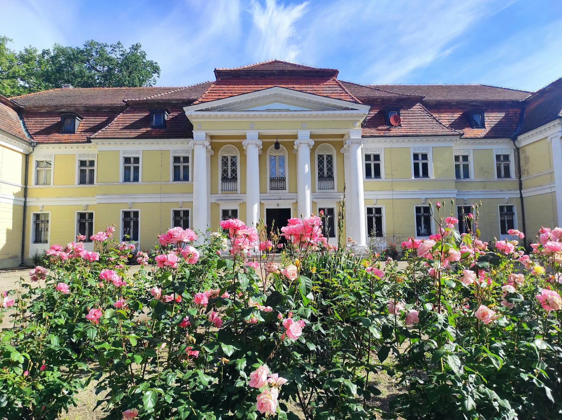 Dzień Pustej Klasy na powitanie lata — zdjęcie 20