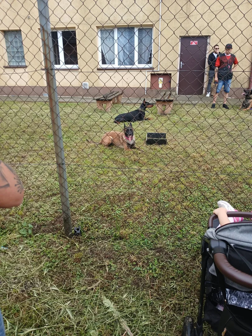 Zdjęcie 30