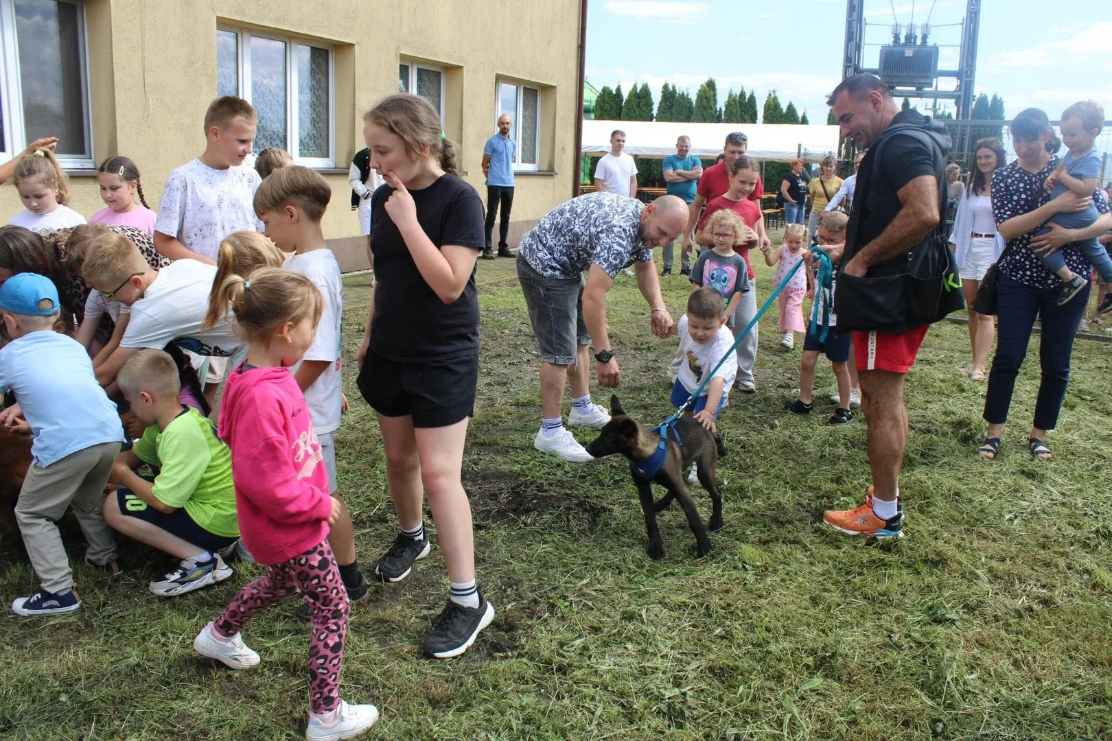 Zdjęcie 49