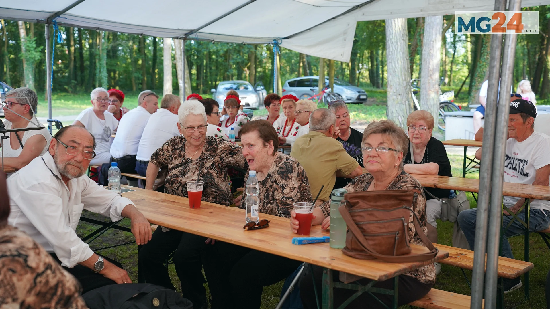 Zdjęcie 43