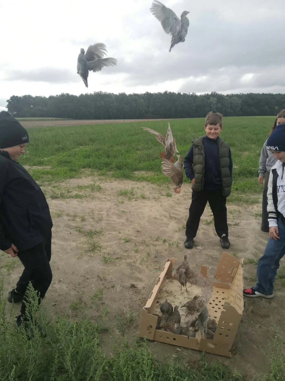Zdjęcie 35