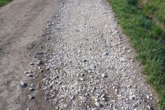 Dlon_-Wspolna-akcja-mieszkancow-i-gminy-00002