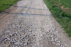 Dlon_-Wspolna-akcja-mieszkancow-i-gminy-00003