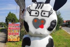 Dozynki-w-Dloni-099