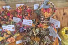 572218502_122179621496494994_6311839865067632699_n