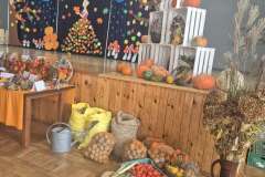 575106691_122179621280494994_539732831265412638_n