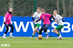 601864674_1351614380092037_9196504768023548838_n