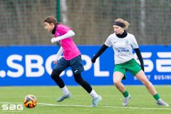 603861327_1351614816758660_7650675404695040497_n