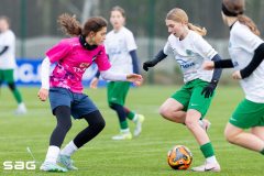 604512555_1351614190092056_4766162386348311477_n