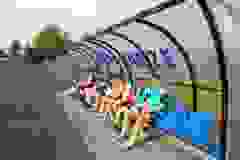 499711937_1181173243802819_3275136195028516094_n
