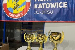 Medalowy-wystep-UKS-Ju-Jitsu-015