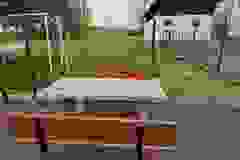 699035893_1740348890279956_1500871866460816655_n