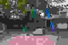 699158526_1740348893613289_3131003736469659602_n