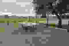 699701110_1740348843613294_665345794768660752_n