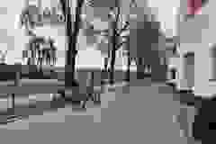 700409523_1740348576946654_788873254013088622_n