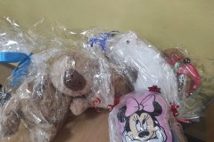 „Pomoz-sie-przytulic-–-wielkie-serca-w-Zespole-Szkol-w-Dloni-015