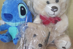 „Pomoz-sie-przytulic-–-wielkie-serca-w-Zespole-Szkol-w-Dloni-016