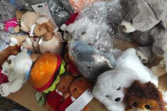 „Pomoz-sie-przytulic-–-wielkie-serca-w-Zespole-Szkol-w-Dloni-019