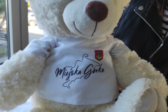 „Pomoz-sie-przytulic-–-wielkie-serca-w-Zespole-Szkol-w-Dloni-030