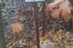 Spolecznosc-Zespolu-Szkol-w-Dloni-uczcila-107.-rocznice-odzyskania-niepodleglosci-028