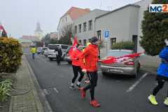 sztafeta-powstaniw-wielkopolskiego-rydzyna-miejska-gorka-0078