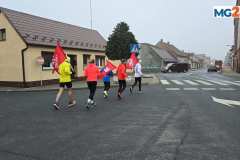 sztafeta-powstaniw-wielkopolskiego-rydzyna-miejska-gorka-0086