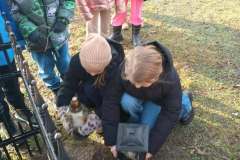 622482790_880185748160819_8839249904679492205_n