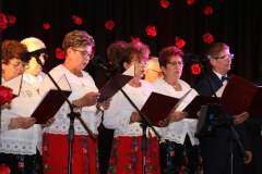 miejska-gorka-koncert-037