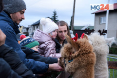 wigilia-miejska-gorka-156