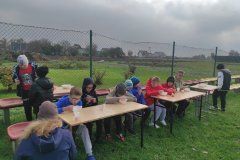 zespol-szkol-w-dloni-pusta-klasa-zdrowe-odzywianie-program-dla-szkol-rada-rodzicow-edukacja-szkola-podstawowa-dlonie-jesien-w-szkole-zdrowe-nawyki-zywieniowe-powiat-rawickie-001