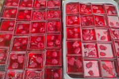 zespol-szkol-w-dloni-pusta-klasa-zdrowe-odzywianie-program-dla-szkol-rada-rodzicow-edukacja-szkola-podstawowa-dlonie-jesien-w-szkole-zdrowe-nawyki-zywieniowe-powiat-rawickie-014