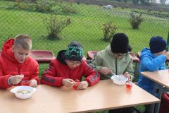 zespol-szkol-w-dloni-pusta-klasa-zdrowe-odzywianie-program-dla-szkol-rada-rodzicow-edukacja-szkola-podstawowa-dlonie-jesien-w-szkole-zdrowe-nawyki-zywieniowe-powiat-rawickie-028