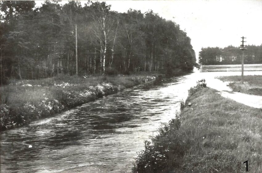  WSPÓLNIE TWORZYMY ARCHIWUM: Mieszkańcy gminy Miejska Górka w obliczu historycznych powodzi