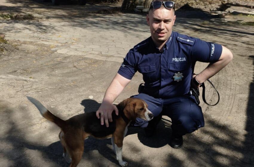  Niebezpieczne zdarzenie na trasie Konary – Ostobudki